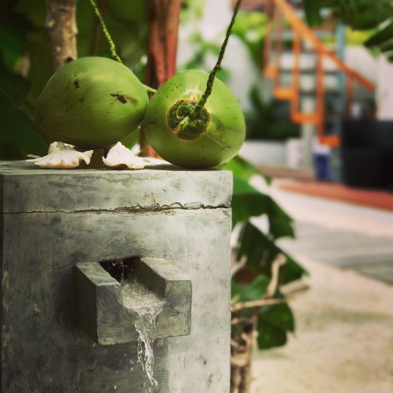 Veli Vilaa Dhiffushi Kültér fotó